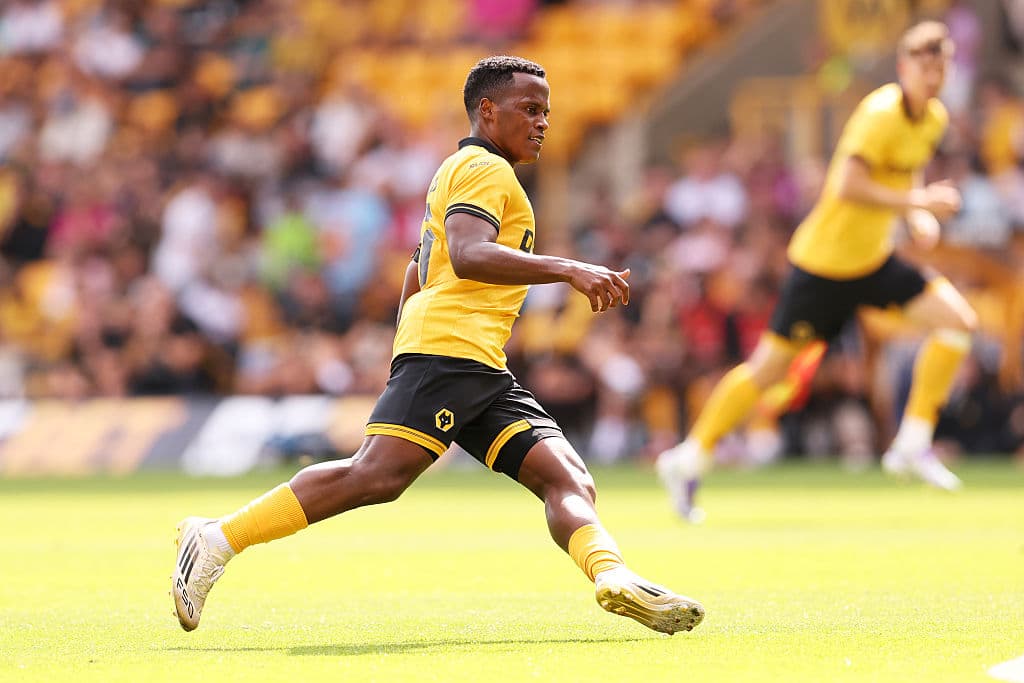 Wolves Workmard Fan column: Hard-working Wolves still lacking in game-changing quality