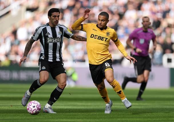 Sandro Tonali and Joao Gomes (Photo by Stu Forster/Getty Images)