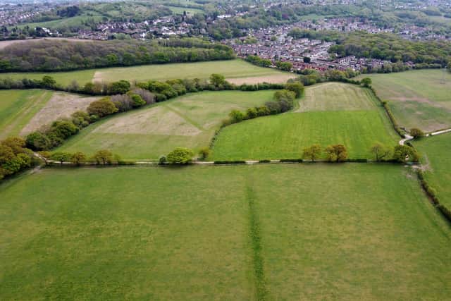 The Seven Cornfields