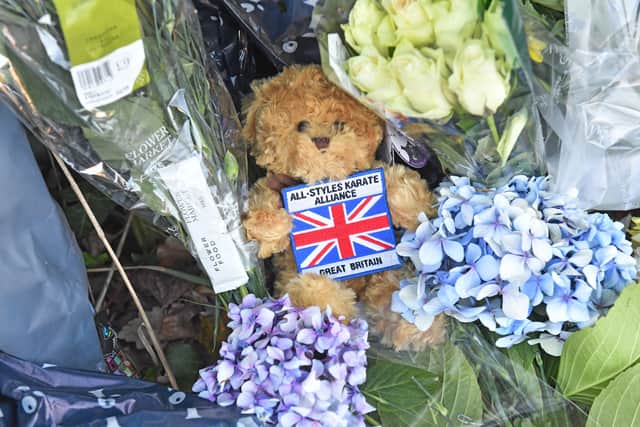 Donations to the fundraiser will help support the cost of a funeral, and a plaque to remember Theo