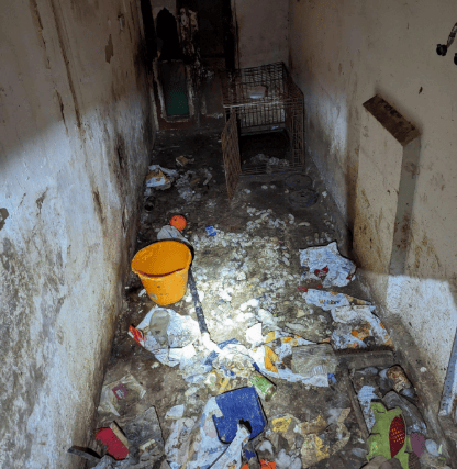 The property was described as 'dirty, cluttered and covered in feaces'