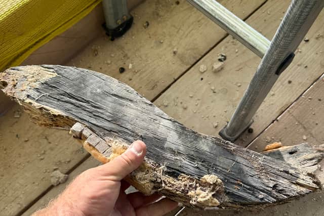 Some of the rotting timber
