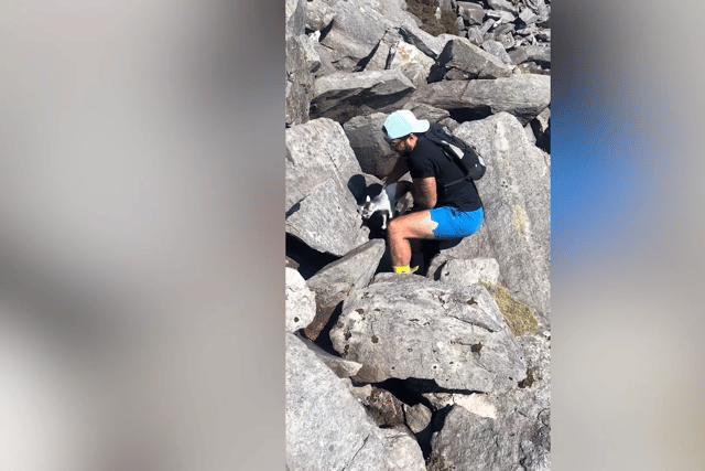 Hikers from the West Midlands save adorable baby goat stuck between ...