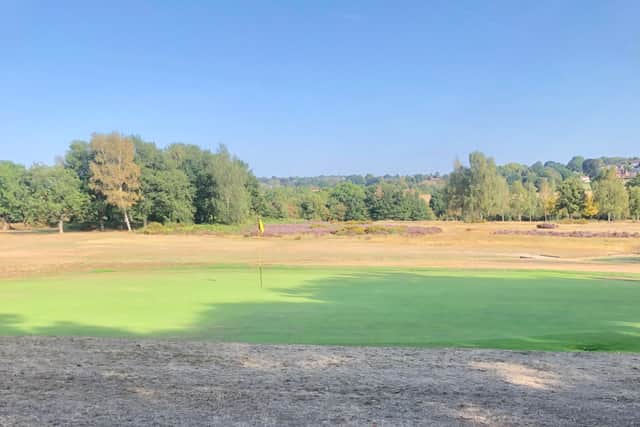 Contrast - one of the greens on the course at Penn Golf Club