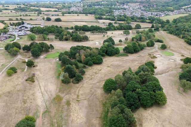 Dave Healy said the weather had been a constant challenge, with four heatwaves causing the grass to dry and burn out
