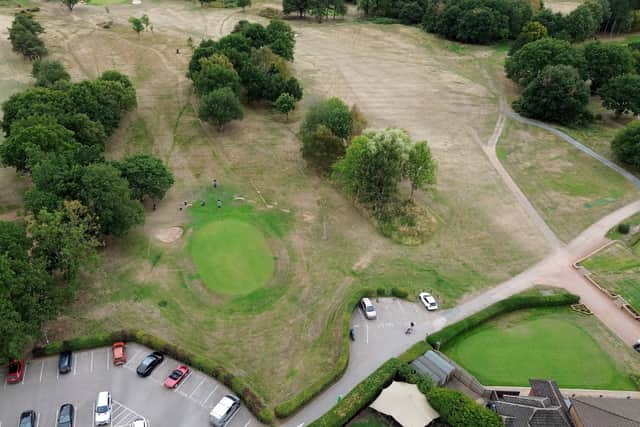 The club sits on the edge of Penn Common and shows a really striking example of the effects of the hot weather