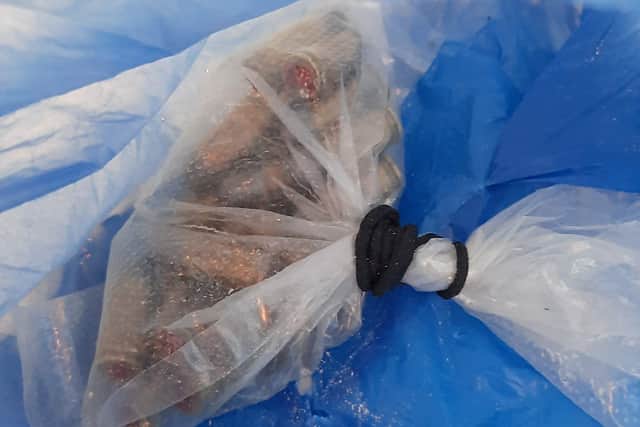 A bag of ammunition was also discovered in the property