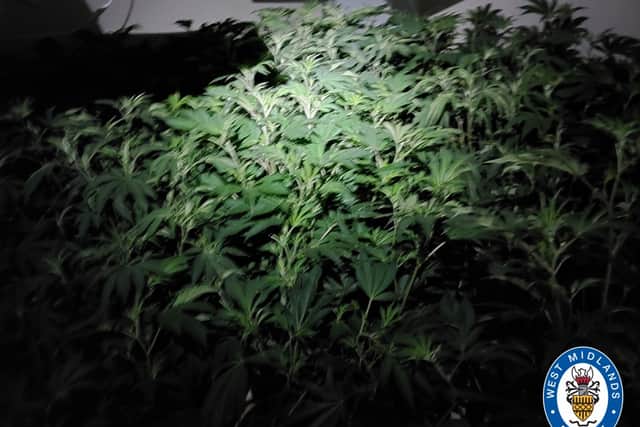 The operation has also led to the closure of a cannabis farm and a brothel in the town