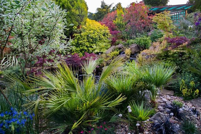 3 Oakhampton Road in Stourport-on-Severn. Photo: National Garden Scheme 