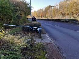 The spot where Callear crashed his BMW in November 2021