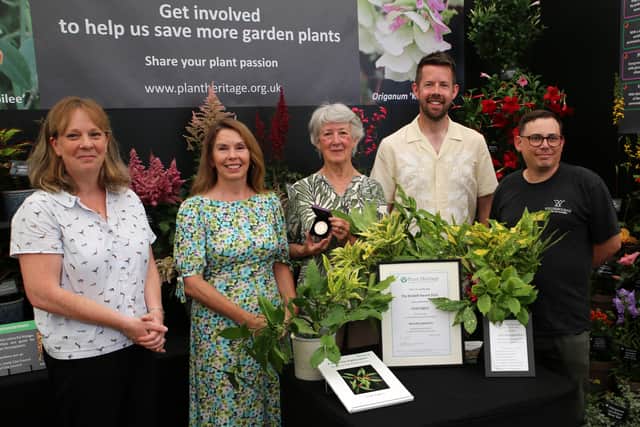 Gwen Hines (CEO, Plant Heritage), Cecilia Bufton (Chair, Plant Heritage), Linda Eggins (Brickell Award 2025 winner), Matt Pottage (The Royal Parks) and Dan Cartwright (Winterbourne House and Garden). Credit Plant Heritage