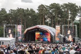 Forest Live provides a wide range of artists and performers
