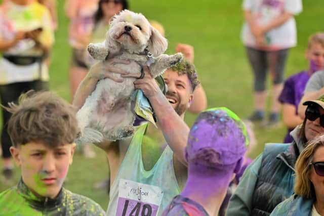 Even our four legged friends were getting involved