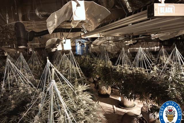 Cannabis farm in Rowley Regis