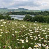 Tittesworth Water. Photo: Severn Trent