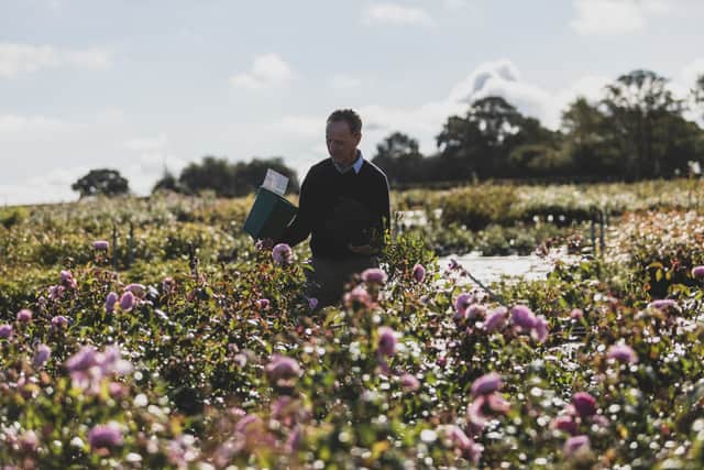 David J. C. Austin, Chairman at David Austin Roses.