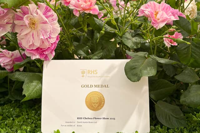 The company's stunning display has secured a gold medal.