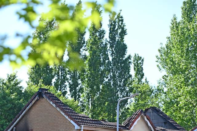One person, a man in his 70s, was confirmed to have died in the Maybury Drive blaze