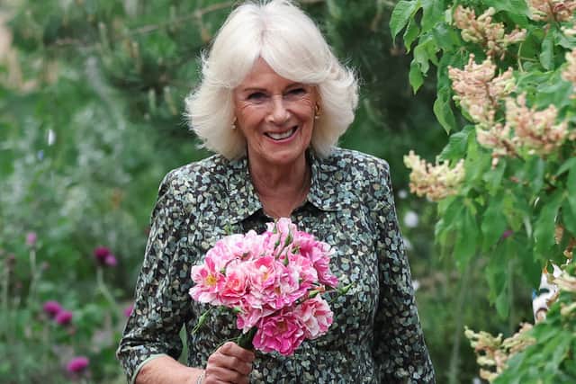 Queen Camilla with 'The King's Rose' by David Austin Roses. Photo: Toby Melville/PA Wire