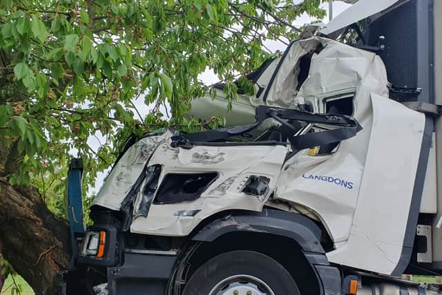 Tree uprooted, lorry destroyed and driver taken to hospital after ...
