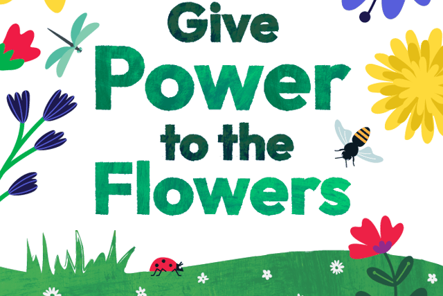 No Mow May's official poster from Plantlife
