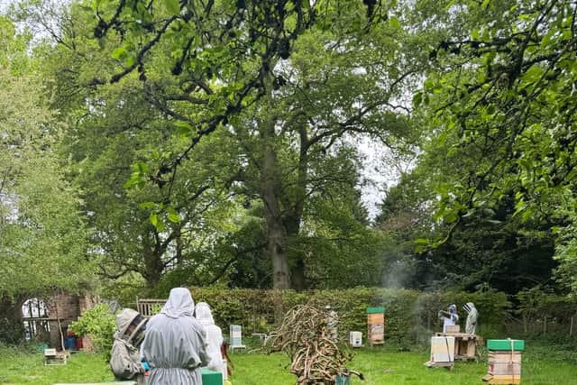 SSBKA's Shugborough apiary is following No Mow May,