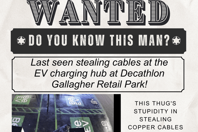 A wanted post was released of the thief