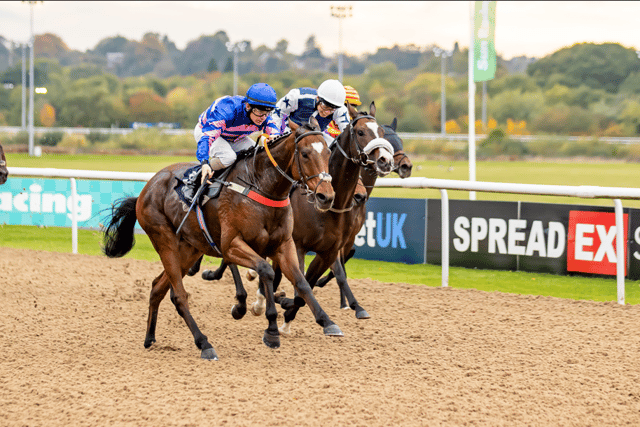 
Get up close to all of the racing action!