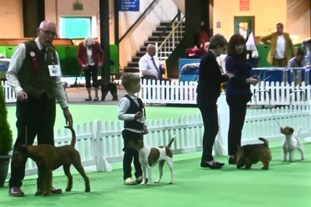Freddie and Penny have competed at other competitions to qualify for Crufts