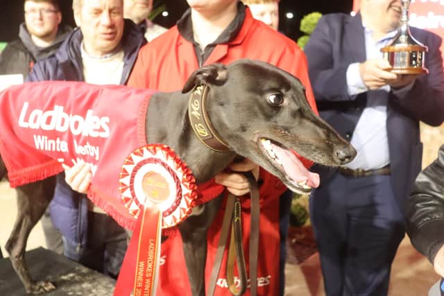 Proper Heiress wins the Winter Derby for Mark Wallis and the MWD Partnership