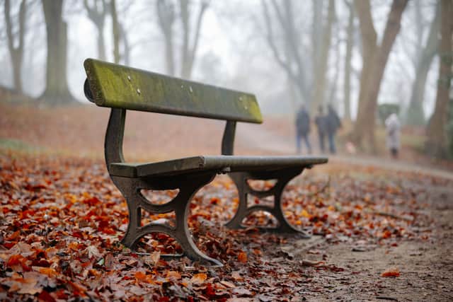 Walsall Arboretum in the cold and foggy conditions today (Friday)