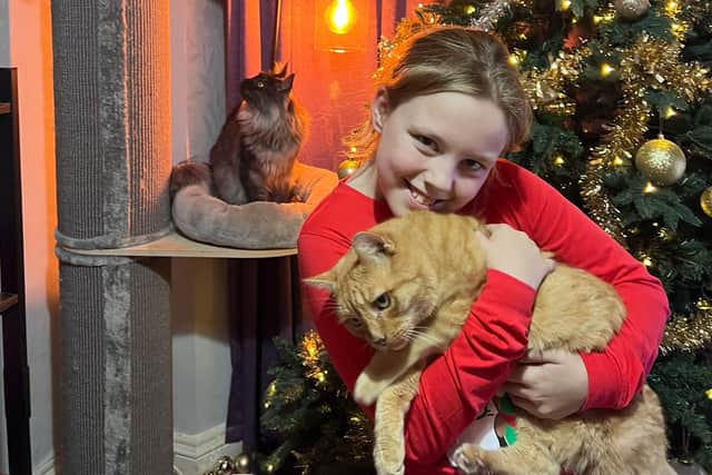 Cat returns home after spending seven years lost from family