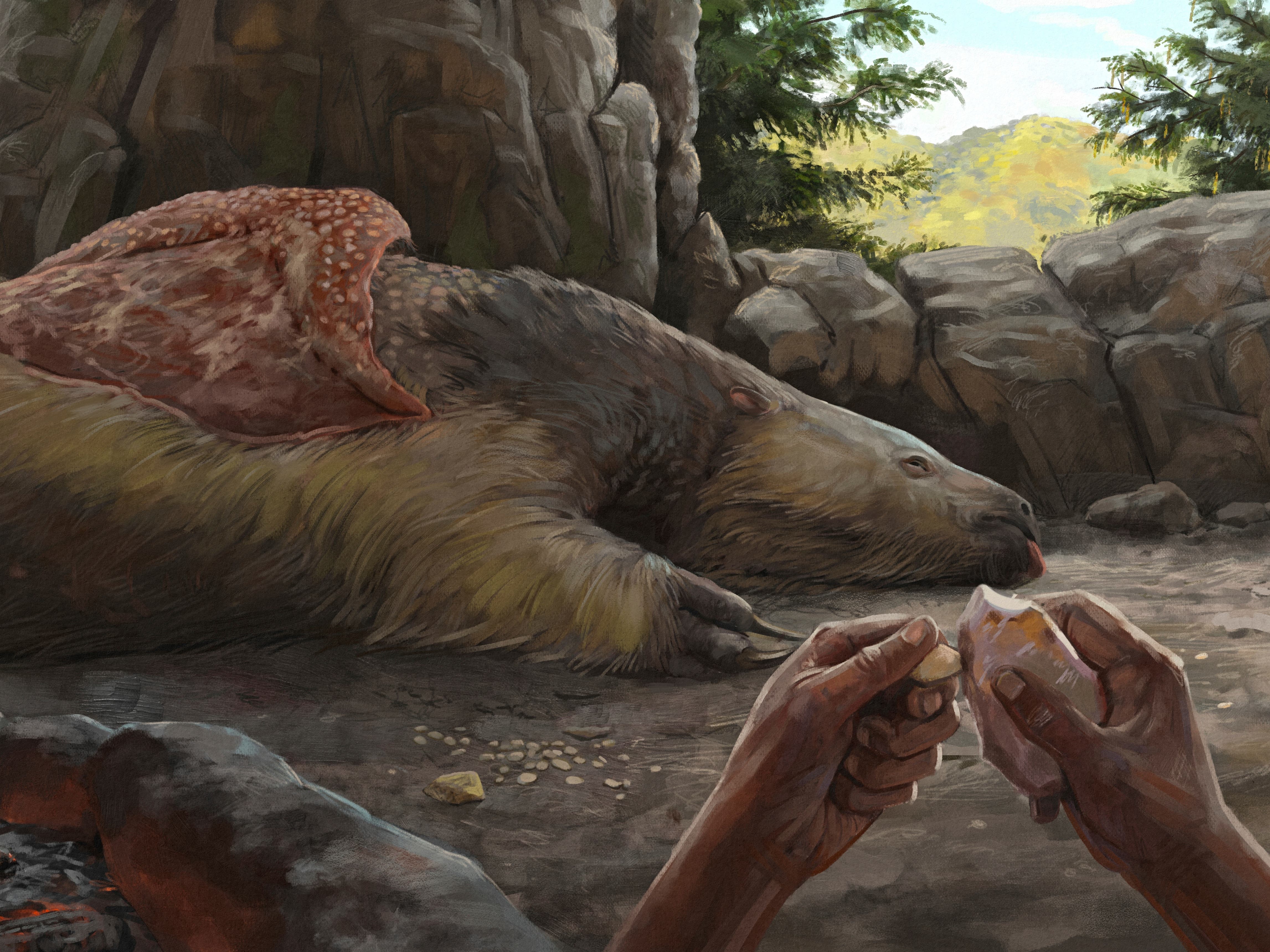 Giant sloths and mastodons lived with humans for millennia, research ...