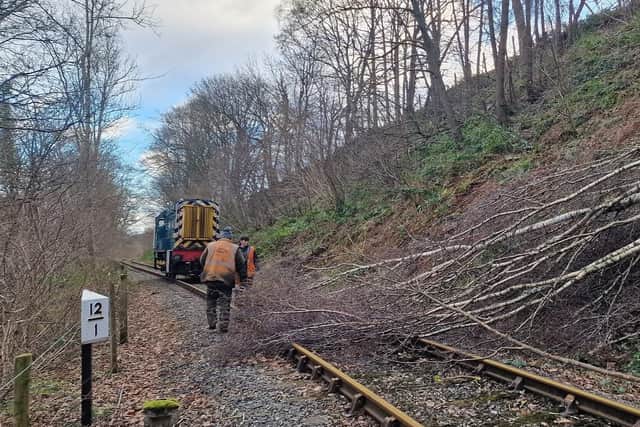 Fallen trees disrupted the railway.