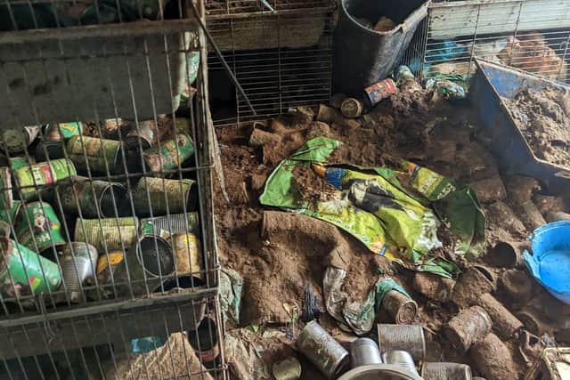 RSPCA officers were faced with overwhelming smells of ammonia and mountains of animal waste