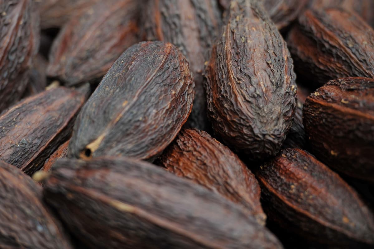 Coco May Cocoa may protect against negative effects of fatty foods when stressed ...