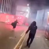 Police have warned of a zero tolerance approach to fireworks disturbances