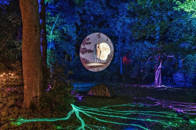 Luminate is coming to Shugborough. Photo: Luminate