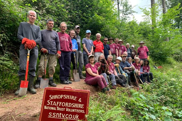 Shropshire and Staffordshire Volunteer Group in the dingle at Dudmaston in Shropshire. Picture: Alex Blakeman.