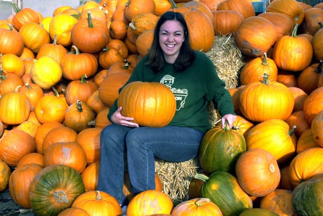 In 2002, Kerry Walker, aged 22, from Cheslyn Hay, helps with the pumpkin harvest at the former Essington Fruit Farm.