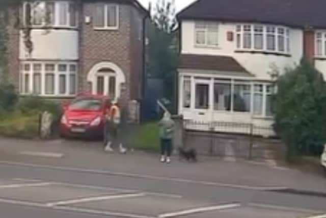 Thug caught on camera kicking a small dog in a Birmingham street faces jail