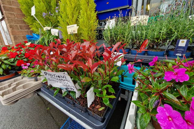 John even hand-delivers plants to people who can't get to the shop themselves