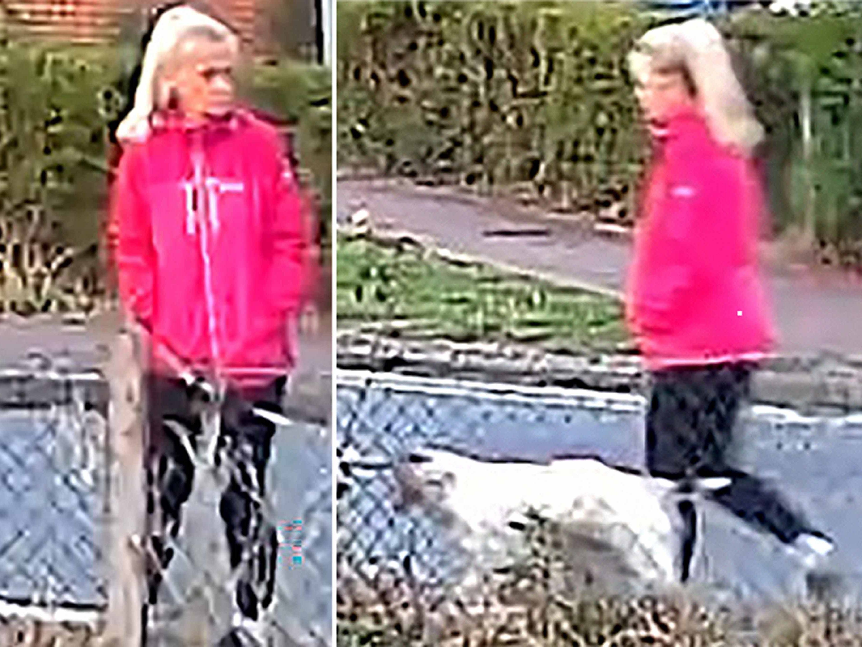 Man rearrested on suspicion of murder after dog walker dies