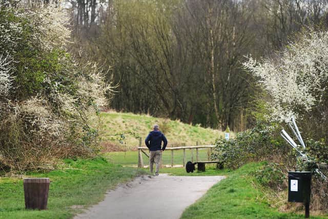 Baggeridge Country Park has become a popular spot for people to go for a walk with their dogs