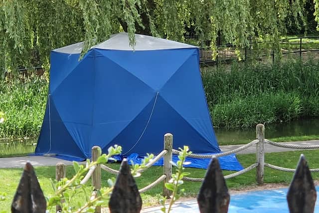 A tent was seen between the river and the children's play area