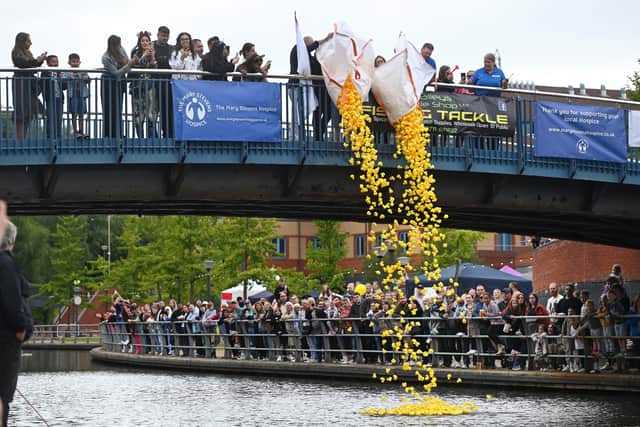 The Black Country Duck Race at Brierley Hill Waterfront