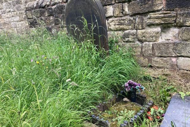 The overgrown St Peter's Church graveyard