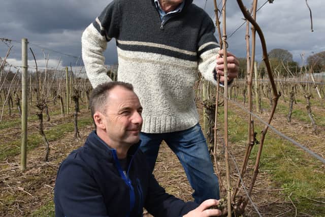 Clive Vickers pictured with his late dad Martin Vickers, top, at the vineyard which they founded in 1983