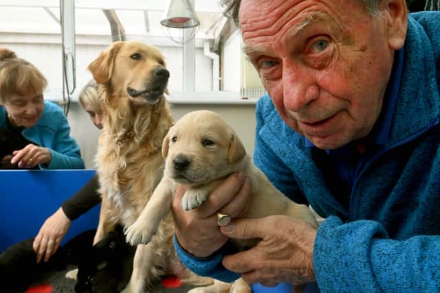 Tony Creed who has been looking after dogs and puppies on behalf of the Guide Dogs charity for 25 years. Here he is pictured with some of Cassie's recent brood of seven puppies