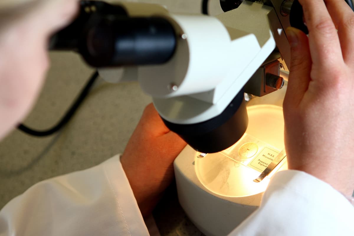 Test Spite Spit test ‘better than blood test for men with genetic prostate cancer ...